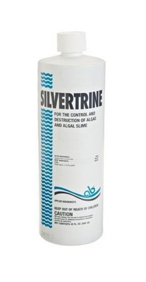 silvertrine black algae