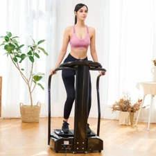 Zelus 2000W Whole Body Vibration Machine Full Body Exercise Platform Massager