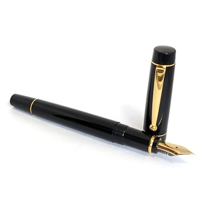 Pilot Ecrino Black Fountain Pen Stainless Steel F Nib