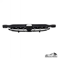 KüHlergrill Gitter Vorne FüR Peugeot 307 CC 16V SW Break 00-09