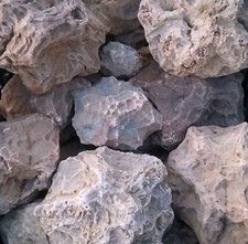 10 Lbs Whole Unopened Crinoidial Star Fossil Geodes Kentucky Geodized Fossils