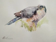 Sparrowhawk, Birds, Watercolor artwork, Handmade, Original painting on paper
