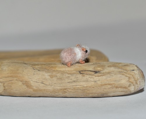 Tiny Cute Guinea Pig 0.59" Dollhouse Miniature Pet Tiny Animal Toy Gift - Picture 8 of 10