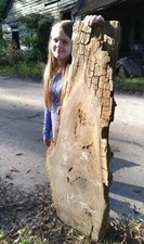 Ebay's #1 REAL Burl Old Growth Ancient Sinker Cypress Craft Wood FREE SHIPPING!