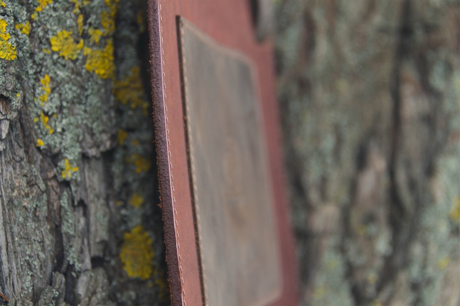 Picture 9 of 10