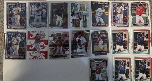 17 Card Roman Anthony Prospect Lot