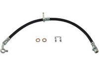 Kavo Parts Bremsschlauch Hinterachse Passend FüR Honda CR-V III Re_ RE