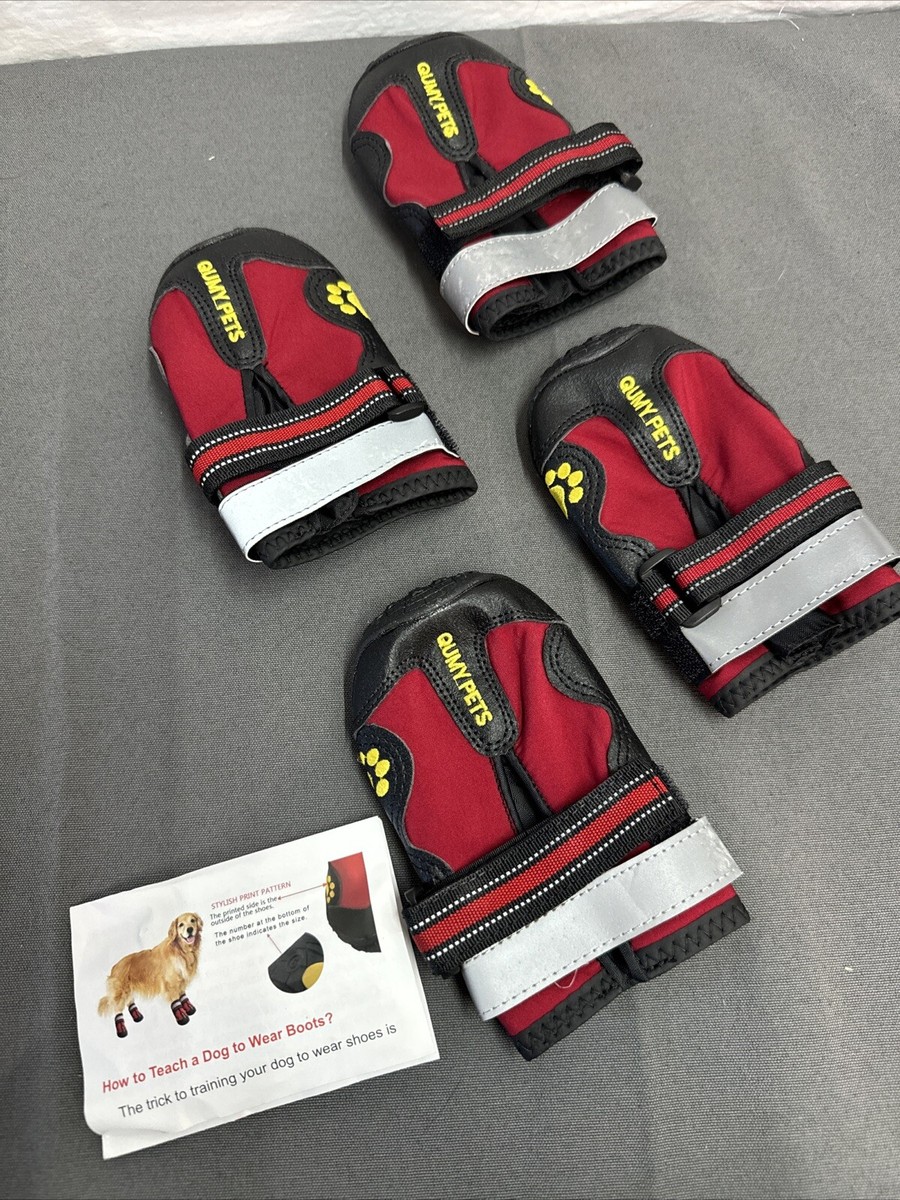 Training My Dog Slippers PAWZ Waterproof Dog Boots, 12 Count