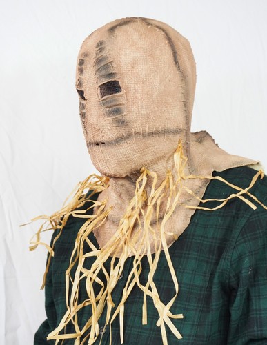 Halloween Scarecrow Mask Costume Latex Realistic Mask Scary Adult Men's - Picture 37 of 42