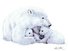 CLOSING SALE Limited edition print, polar bears 'Motherly Love'
