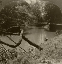 Keystone Stereoview of Rock Creek Park From Rare Washington, DC Set 1920's # 39