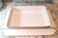 Disposable Cat Litter Box 13"x9"x3" 10 Pack 