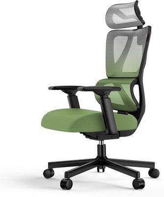ProtoArc EC100 Ergonomischer Bürostuhl Computer Schreibtisch Arbeit Lordosenstütze Grün GA