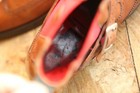 Bild 8 von 11