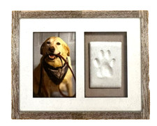 Pearhead Pet Pawprints Photo Keepsake Wall Frame w/ Clay Paw Imprint Kit
