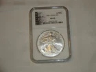 2001 $1 Silver Eagle NGC MS69