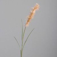 Dpi Kunstblume Fruchtstand H 100 Cm Beige Pflanze Kunstpflanze