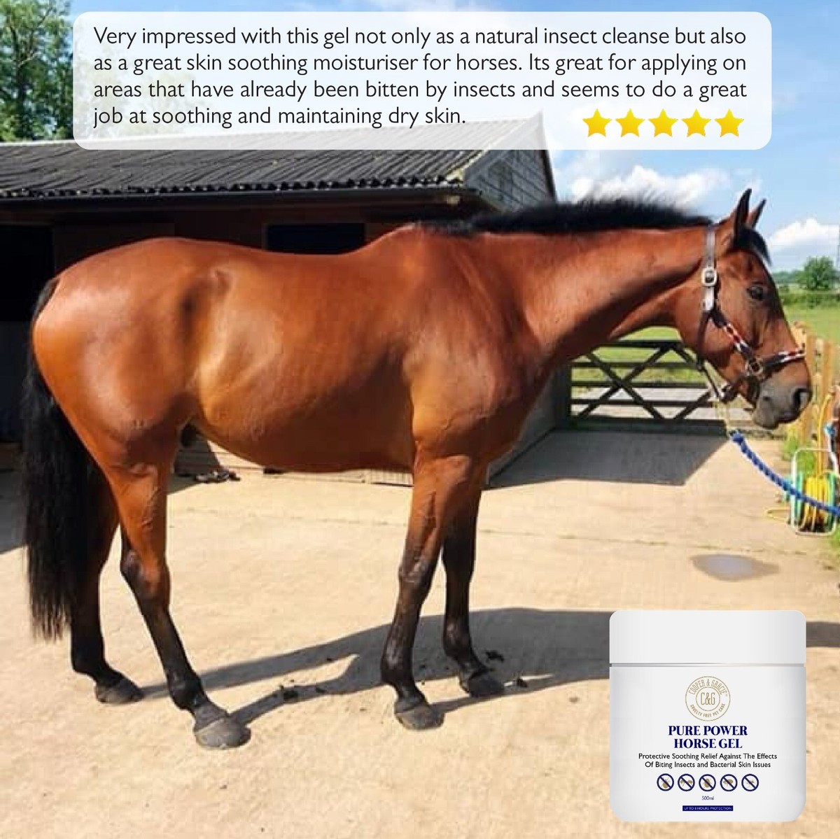 Pure Power Horse Gel 500ml - Powerful, Long-Lasting Itch-Free Formula