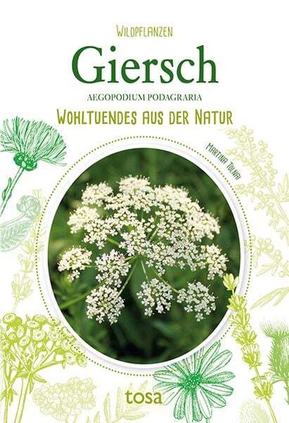 Thumbnail - Giersch
