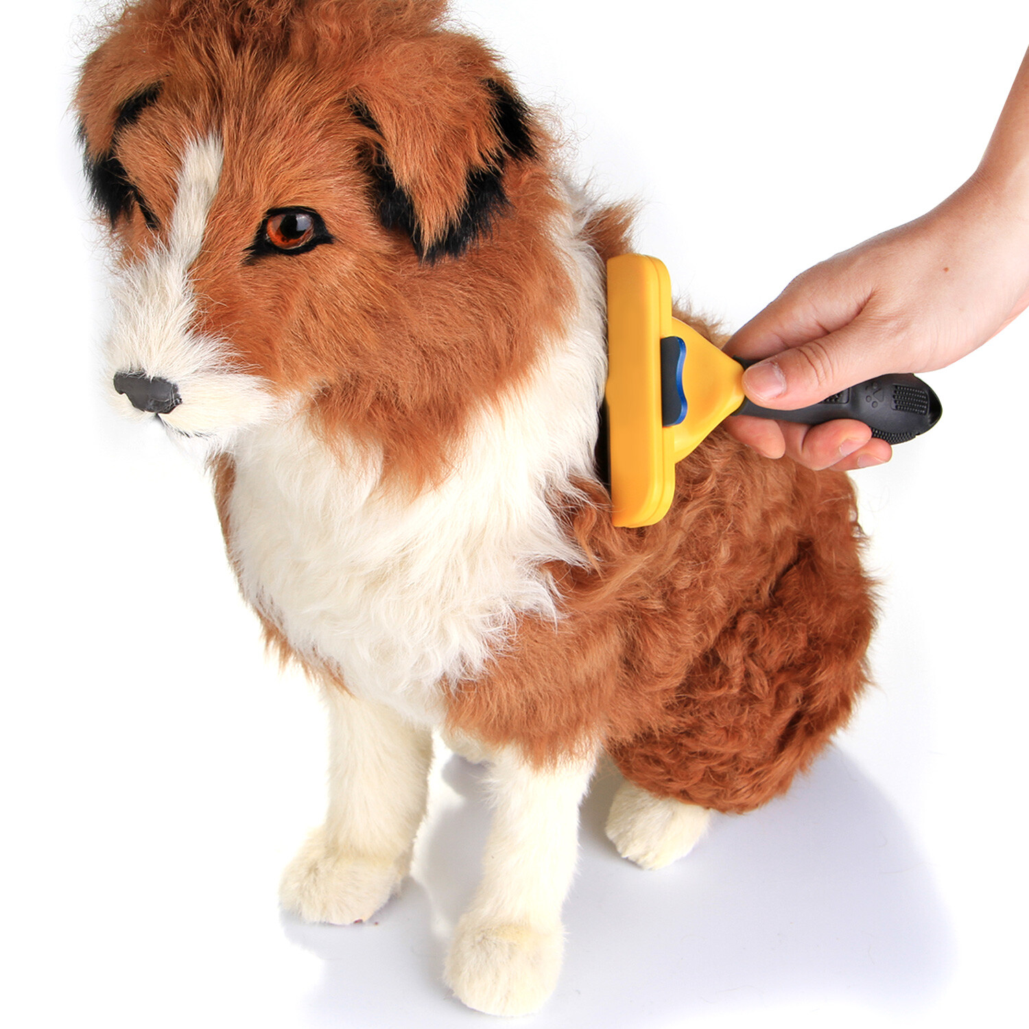 Pet Supplier