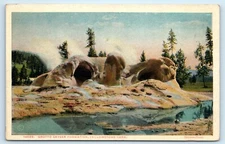 POSTCARD Haynes 14029 Grotto Geyser Formation Yellowstone National Park Wyoming