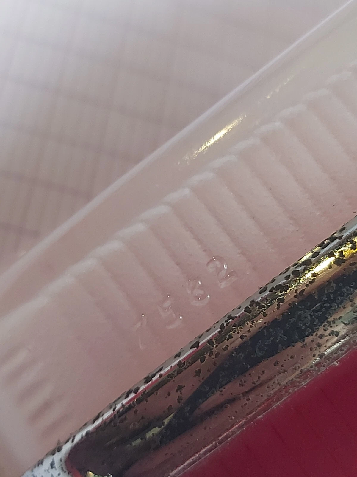 Photo 7/7