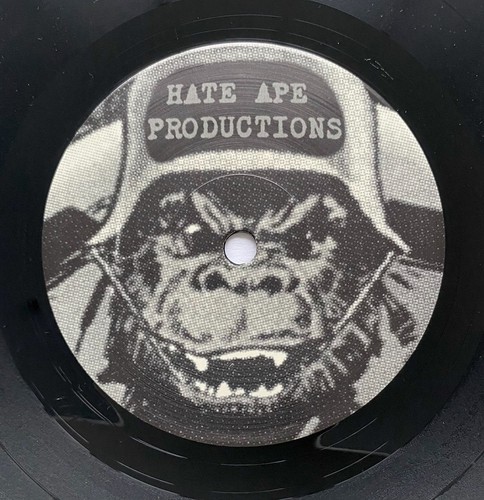 LOVE POTION - INTIMACY 7” VINYL HARDCORE PUNK NUCLEAR DEATH TERROR SUGI ARTWORK! - Picture 6 of 8