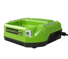 NEW Genuine Original OEM Greenworks Pro 60 Volt 60V Battery Charger CAC801