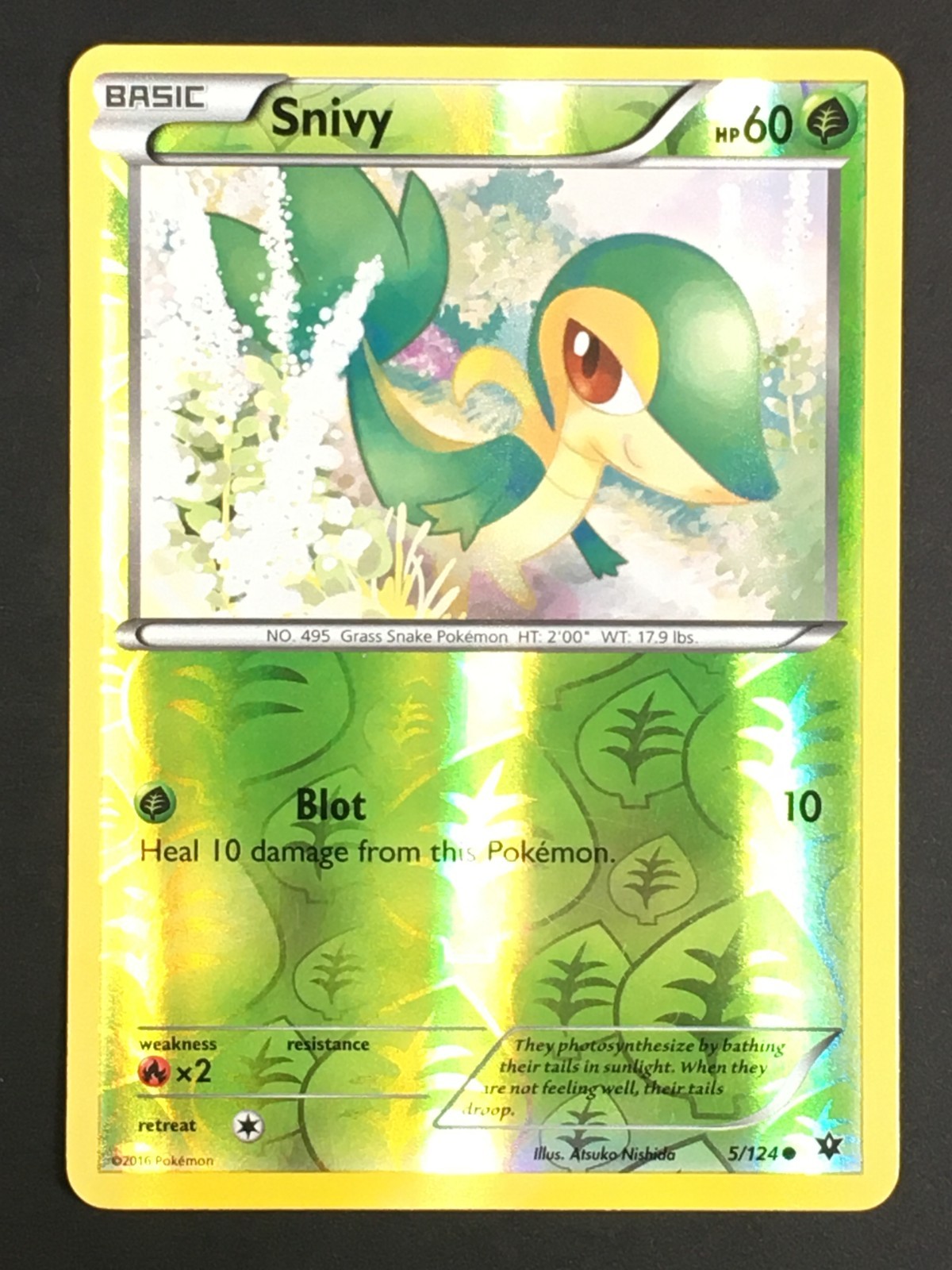 Pokemon TCG Snivy 5/124 XY Fates Collide Reverse Holo Common LP