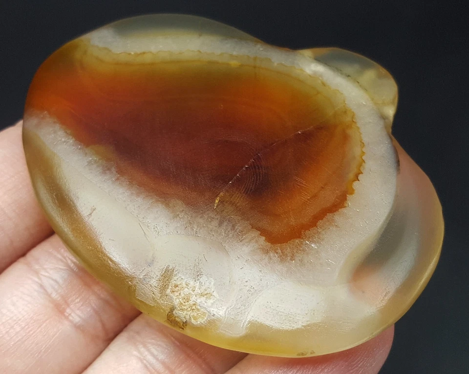 Colgante Plato Piedra Ágata Marrón Drruzy Geoda Pulido Cristal Rebanada Raro #CP271 Foto 3 de 4