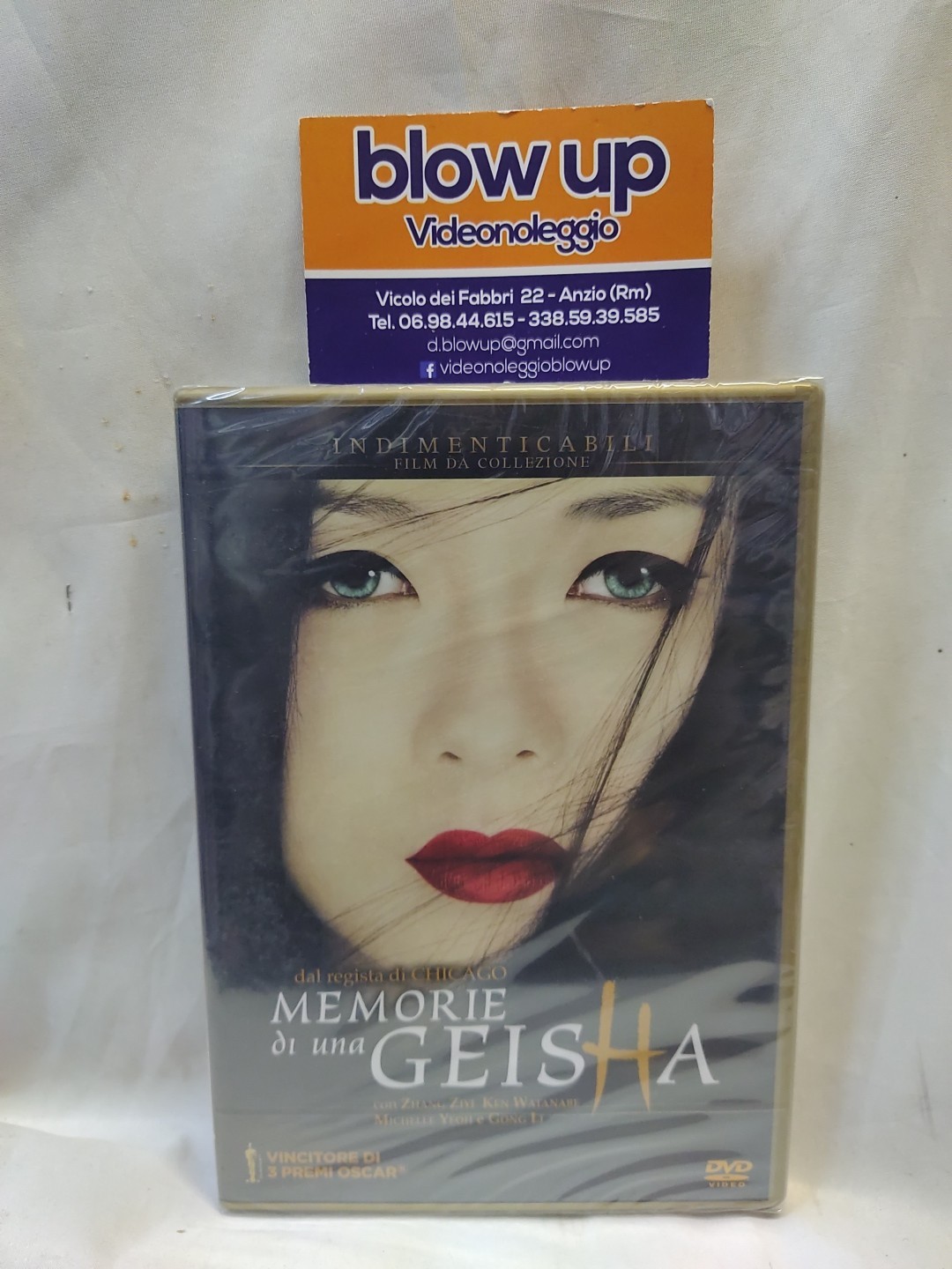 MEMORIE DI UNA GEISHA
