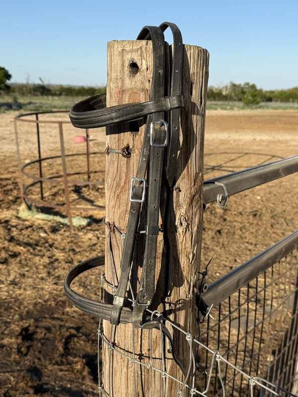 Black Biothane English Headstall W/ Reins Weaver Used Tack EUC