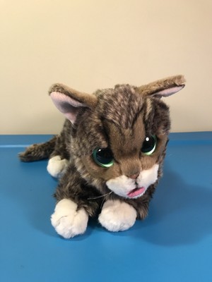lil bub stuffed animal
