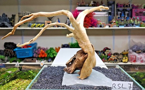 RED MOOR on SLATE wood bogwood driftwood aquariums vivariums REDMOOR - 第 21/33 張圖片