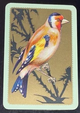 EU60 Swap Playing Cards 1 VINTAGE ENGLISH Colourful Bird In A Tree