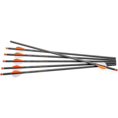 CenterPoint CP400 Carbon Arrows 400 Grain 20-Inch 6-Pack - 100% 20'', black 