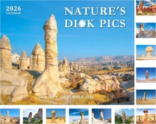 Calendar 2026-12 Month 2026 Wall JAN 2026 - DEC Large, Multicolored 