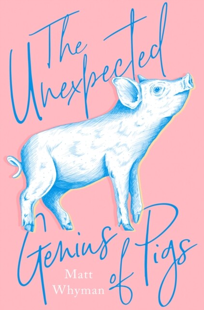 Pigs The Unexpected Genius of Hardback Book by Matt Whyman New