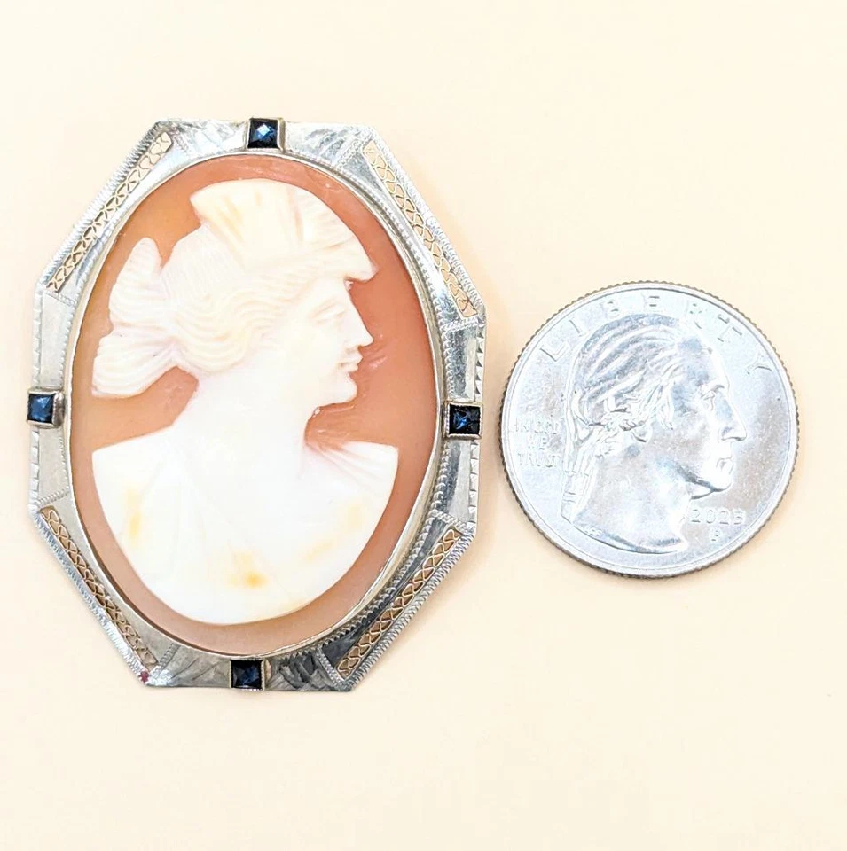 Broche prendedor camafeo clásico mujer cara derecha piedra azul 8,4 oro blanco macizo 10K Foto 2 de 4