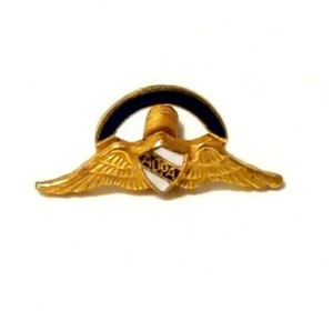 Vintage Enamel AIRCRAFT Owners and Pilots Association Wings Emblem Pin Insignia