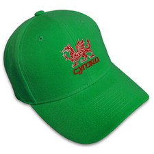 Baseball Cap Cymru Welsh Dragon Embroidery Dad Hats for Men & Women 1 Size