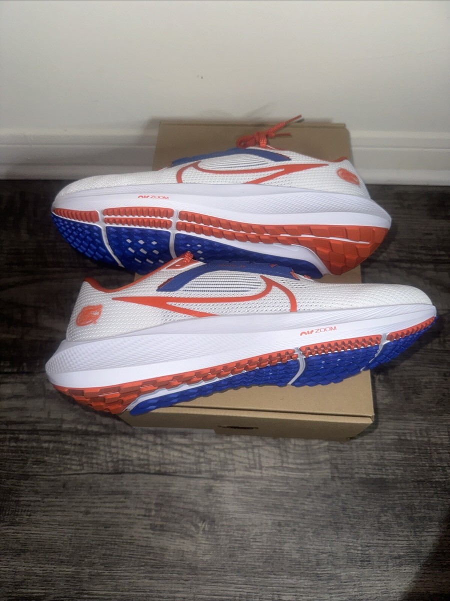 Pegasus 36 Fsu Nike Shoes 218 Size Nike Air Zoom Pegasus 40 - Main Image