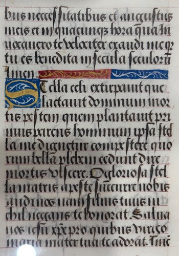 Genuine 15th Century illuminated French Book of Hours manuscript leaf on vellum - Picture 2 of 4