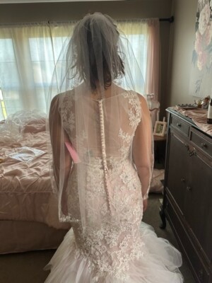 mermaid blush pink wedding dress Mermaid Light Pink Backless Lace Appliques Wedding Dresses Short Sleeve Bridal  Dress JS510