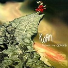 Follow The Leader 180 GM 2lp Black Vinyl 8718469531936 Korn