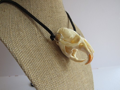 Muskrat Skull Pendant Buckskin Leather Necklace Animal Bone Jewelry - 第 3/5 張圖片
