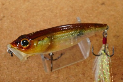 Daiwa T.D. Popper  Zero  1070F      (T450O