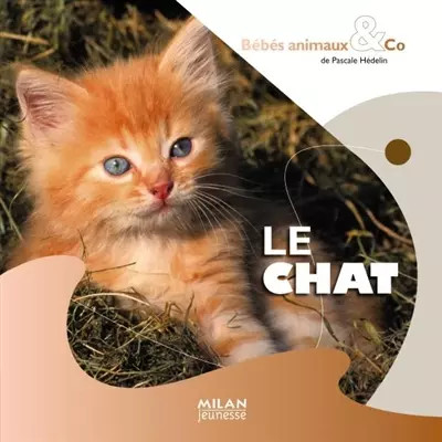 Die Katze, Pascale Hédelin, Amandine Labarre und Arioko