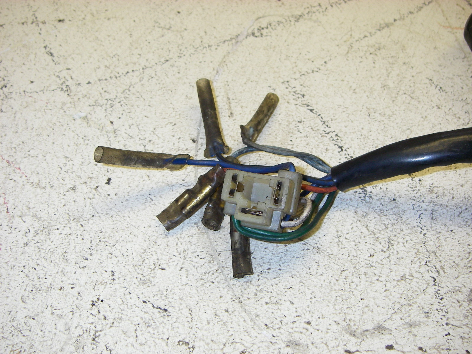 Picture 4 of 5