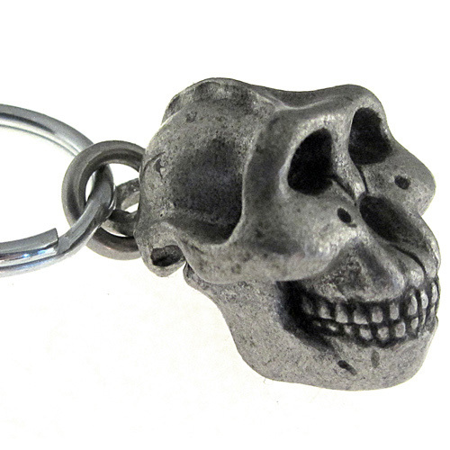 Schlüsselanhänger Paranthropus Boisei Australopithecus Paläoanthropologie Schädel - Bild 1 von 4